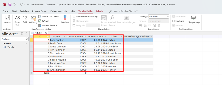 Microsoft Access Datensätze eintragen